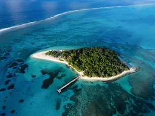 Imagem referente à matéria: BNDES destina R$ 43 milhões para proteção de ilhas oceânicas