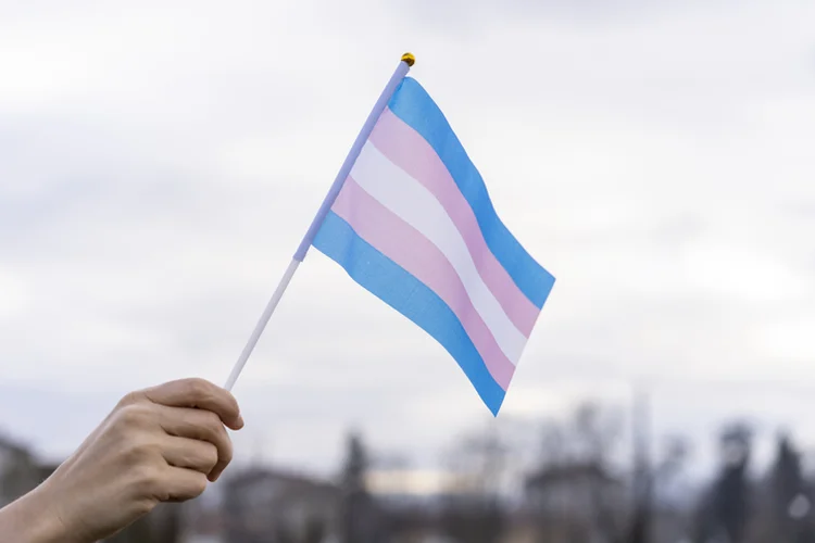 Transgender Flag hold in the sky (Vladimir Vladimirov/Getty Images)