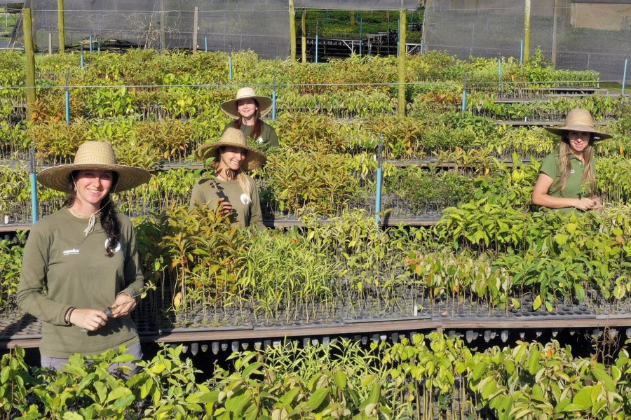 Parceria da WWF e Sylvamo restaura bacia hidrográfica com plantio de 280 mil mudas