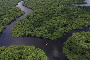 Imagem referente à matéria: Exploração da Margem Equatorial vai “ajudar a manter a Amazônia em pé”, diz governador do Amapá