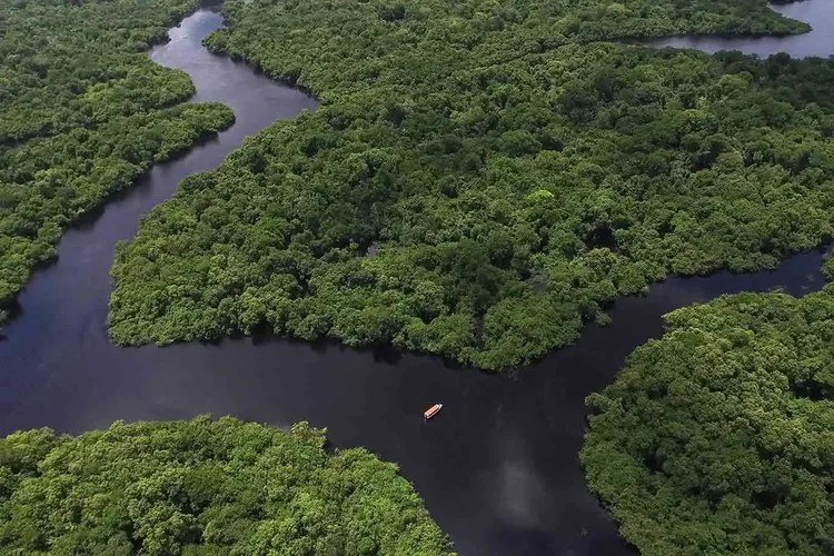 Exploração da Margem Equatorial vai “ajudar a manter a Amazônia em pé”, diz governador do Amapá