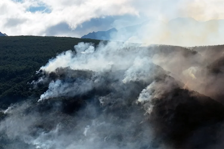 Incêndios florestais afetam parques nacionais e ameaçam residências na Argentina (AFP)