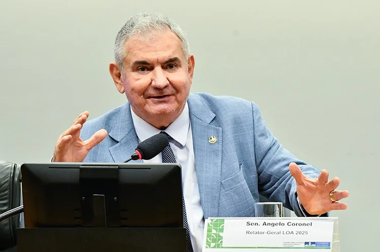 A LOA de 2025 deveria ter sido aprovada no fim do ano passado pelo Congresso (Geraldo Magela/Agência Senado )