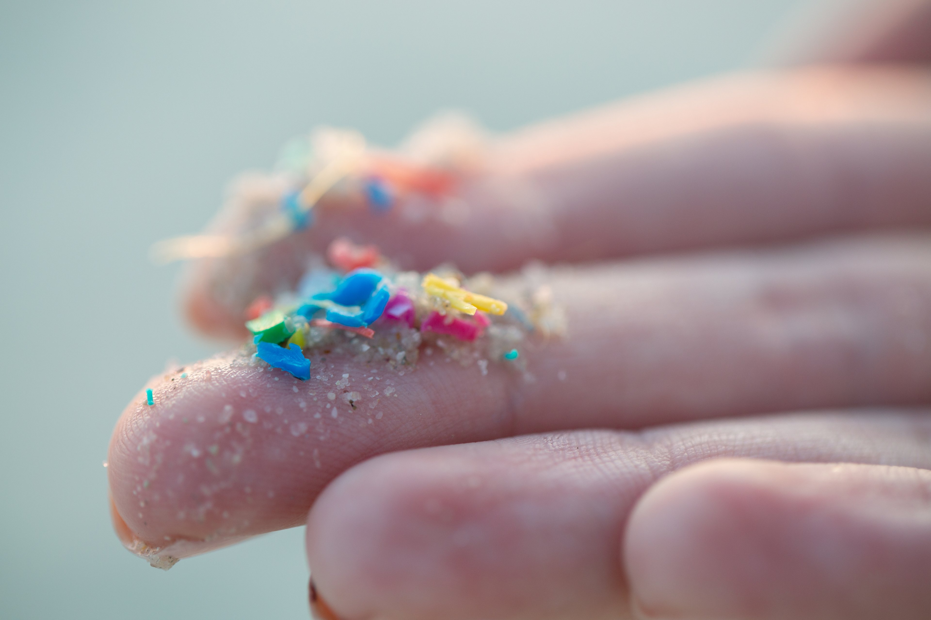 Microplásticos podem chegar ao cérebro horas após consumo — e possíveis danos 'assustam' cientistas