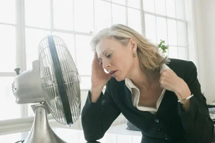 Por que ventiladores não podem ser usados em dias de 'calor extremo'? Cientistas explicam o motivo