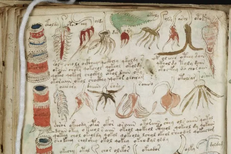 Manuscrito Voynich, o "livro mais misterioso do planeta" (Redes Sociais/Reprodução)