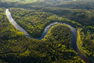 Nova iniciativa pode destravar mercado de carbono regulado no Brasil