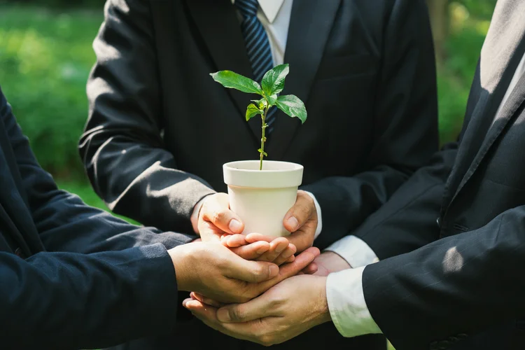 Earth Day Environmental, Business hands holding a plant pot with green plants in the ground together symbolizes green business company and green business cooperation.