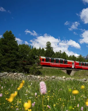 Conheça o trem panorâmico que percorre um patrimônio Mundial da UNESCO