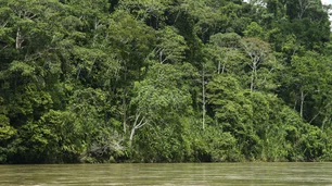 Imagem referente à matéria: Sucesso da bioeconomia depende de união entre ciência, tecnologia e saberes tradicionais na Amazônia