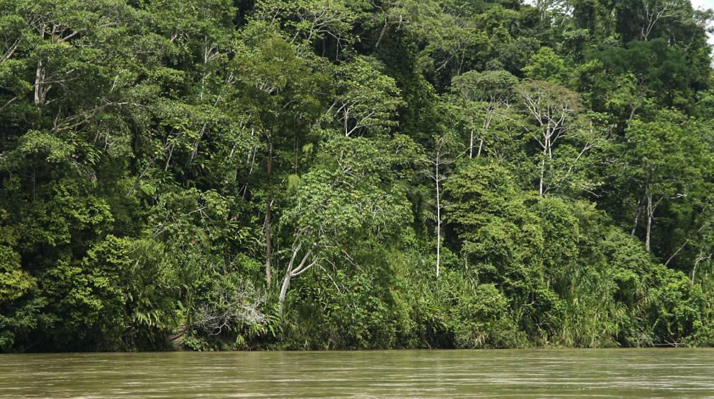 Amazônia e seu potencial na Bioeconomia