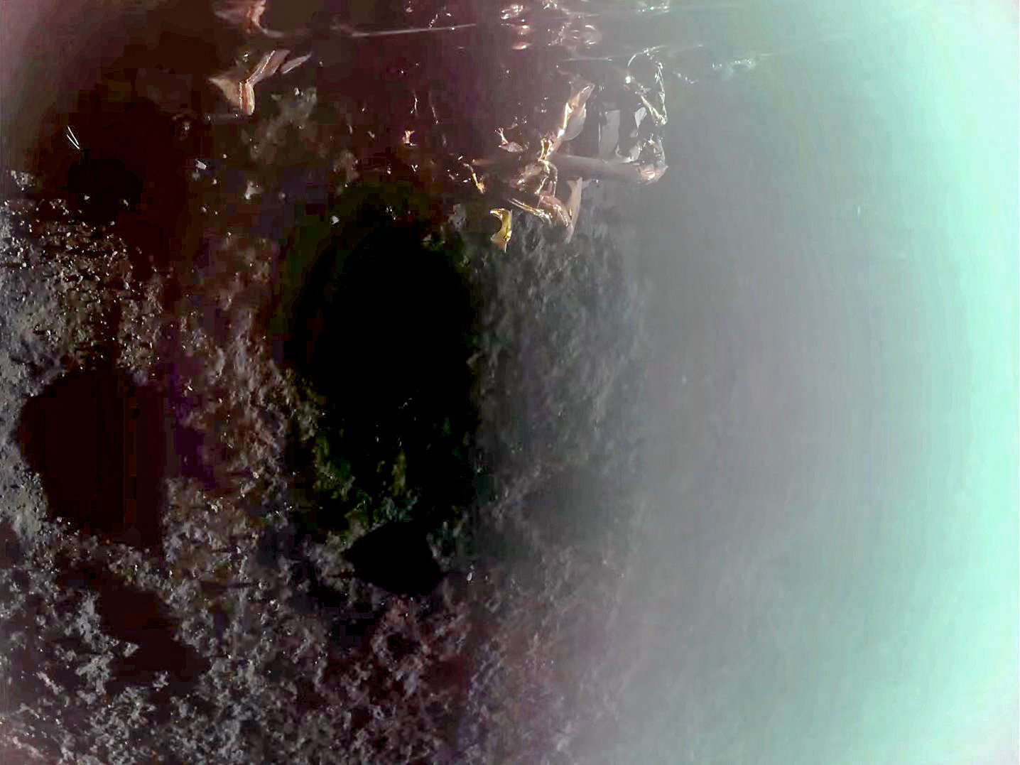 This image grab from a March 2, 2025 video and released by Firefly Aerospace shows Firefly's Blue Ghost lander during its lunar landing as part of the Ghost Mission 1. A US company successfully landed its spacecraft on the Moon on March 2, 2025, making it only the second private lander to achieve this milestone, a live webcast from mission control showed. Firefly Aerospace's Blue Ghost Mission 1 touched down at 3:34 am US Eastern Time (0834 GMT) near Mons Latreille, a volcanic formation in Mare Crisium on the Moon's northeastern near side. (Photo by Handout / Firefly Aerospace / AFP) / RESTRICTED TO EDITORIAL USE - MANDATORY CREDIT "AFP PHOTO / HANDOUT / Firefly Aerospace" - NO MARKETING NO ADVERTISING CAMPAIGNS - DISTRIBUTED AS A SERVICE TO CLIENTS