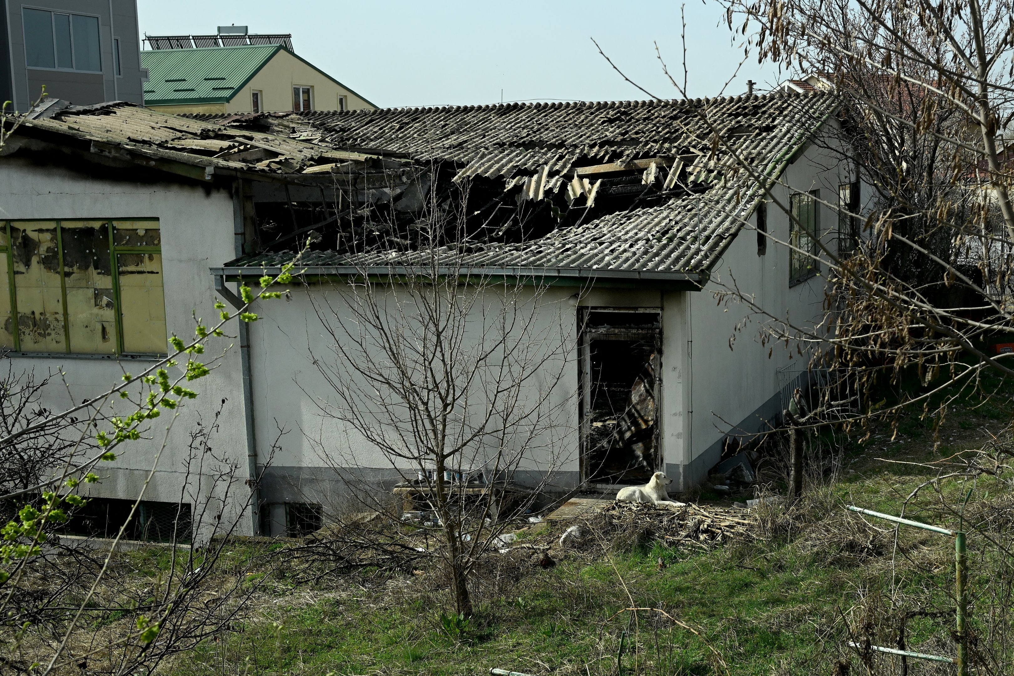 Incêndio em boate na Macedônia do Norte deixa 59 mortos e lembra tragédia da Kiss