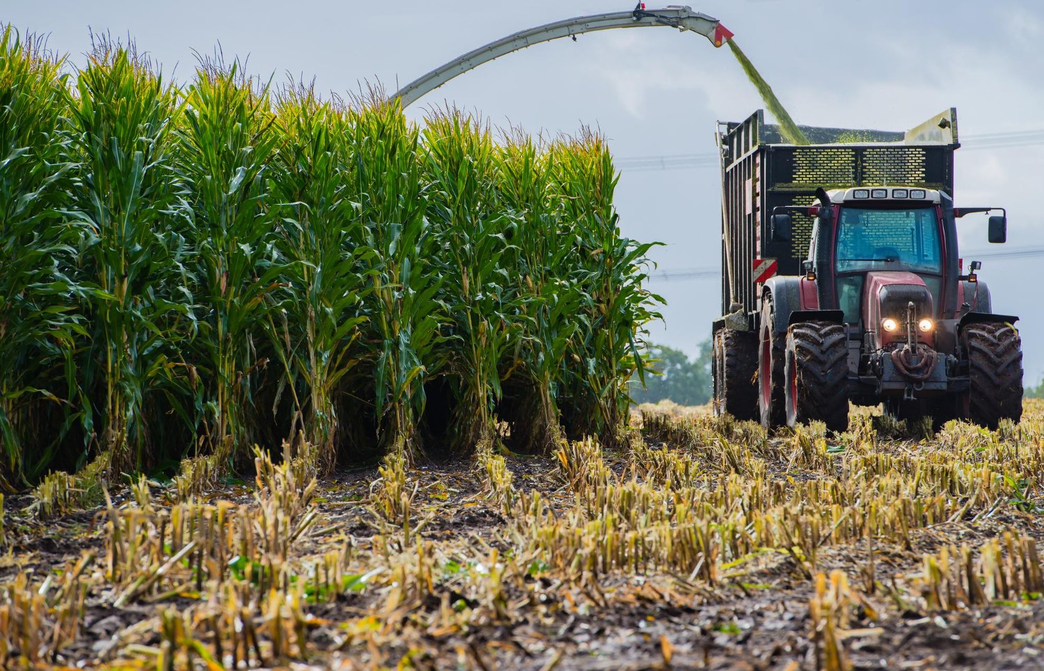 SuperAgro da Exame chega a Campo Grande para discutir biocombustíveis e o agro com grandes nomes