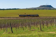 Imagem referente à notícia: Do Brasil a Portugal: 4 experiências de enoturismo que fazem do vinho a grande estrela