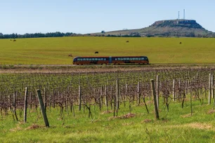 Imagem referente à matéria: Do Brasil a Portugal: 4 experiências de enoturismo que fazem do vinho a grande estrela