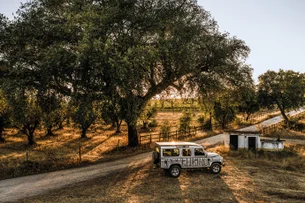 Wine safari: degustação de vinhos com a chance de ver gamos e vida selvagem