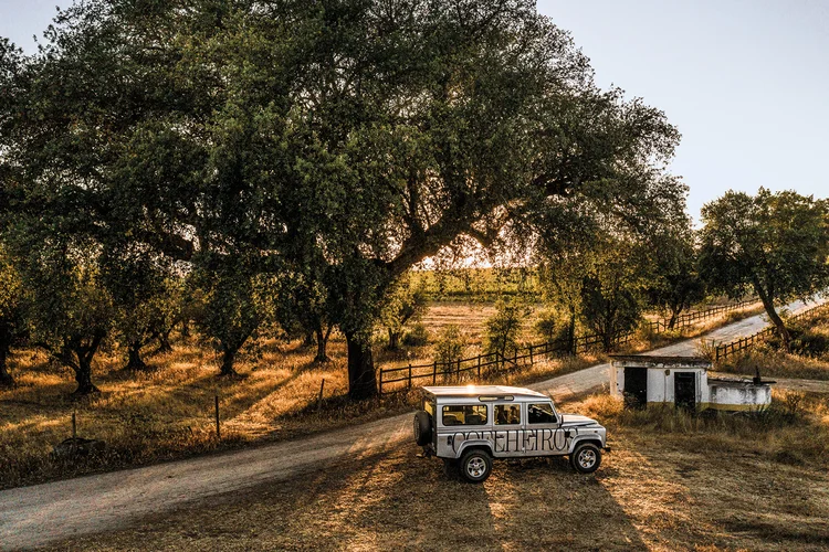 Portugal: ver animais selvagens e degustar vinhos. (Tapada de Coelheiros/Divulgação)