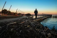 Imagem referente à notícia: 'Inteligência Ambiental': como a IA ajuda no combate às mudanças climáticas