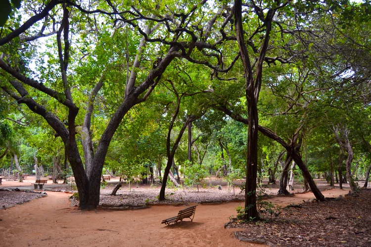 O parque Dunas foi um dos estaduais mais visitados em 2023 e recebeu 408.320 pessoas (Instituto Semeia /Divulgação)