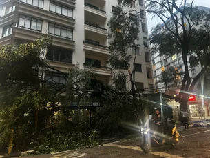 Tempestade em SP deixa um morto e mais de 170 mil pessoas sem luz nesta quarta-feira