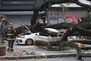 Temporal derruba centenas de árvores, deixa milhares sem luz e causa caos em SP