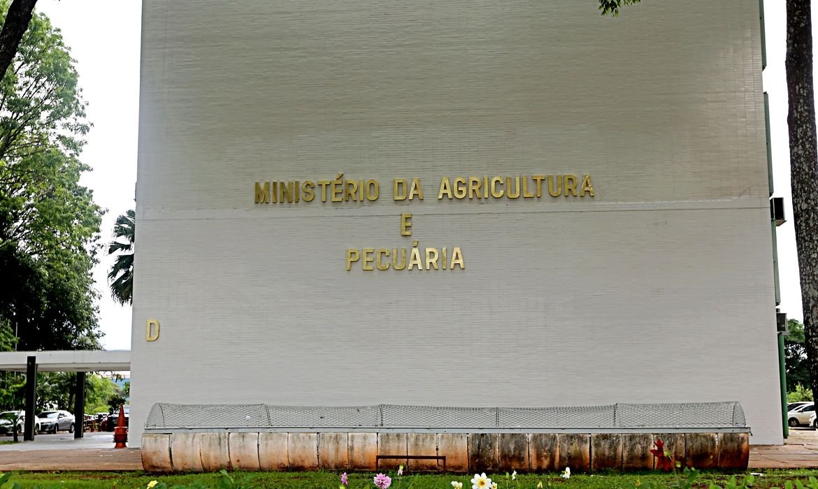 Plano Safra 2025/26: governo prepara aumento de juros em todas as linhas de financiamento