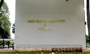 Imagem referente à matéria: Plano Safra 2025/26: governo prepara aumento de juros em todas as linhas de financiamento