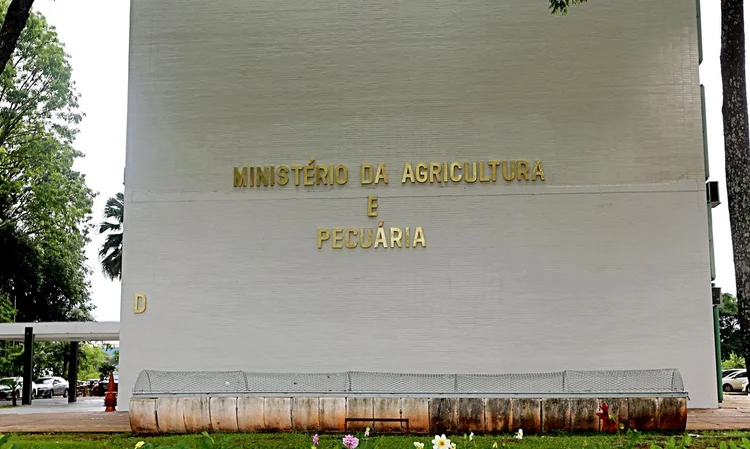 Plano Safra 2025/26: todas as linhas de crédito devem ter aumento, diz Carlos Aguiar, diretor de Agronegócios do Santander.