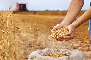 Imagem referente à matéria: China busca produtos agrícolas da Argentina para substituir importados dos EUA