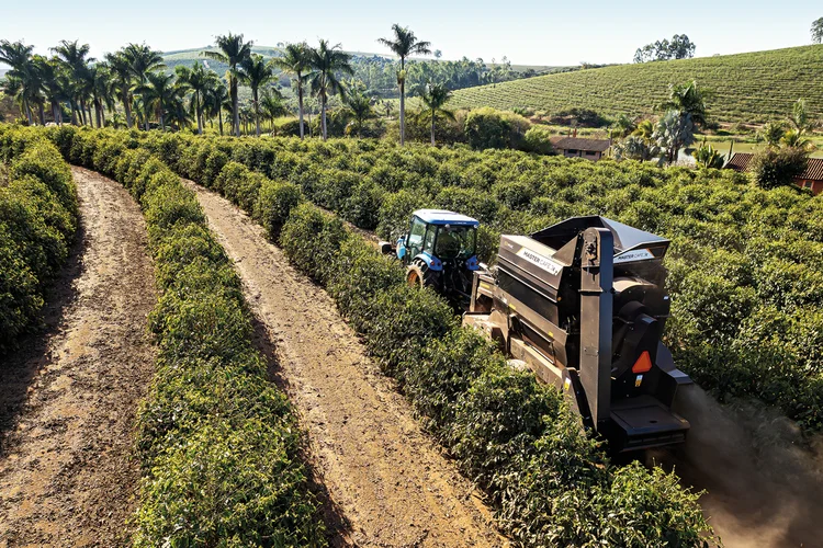 Fazenda Colombo: Secretaria de Agricultura estuda a instalação de novos bancos de material genético em parceria com a Fapesp (Fazenda Colombo/Divulgação)