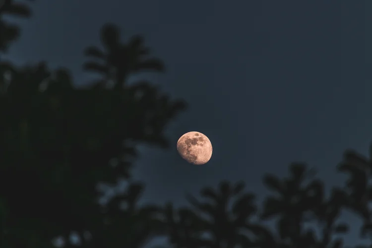 Fases da Lua de abril: veja como o astro aparece no céu desta noite (Freepik)