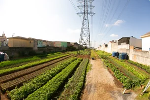 Enel transforma terrenos urbanos em hortas – e garante inclusão social e alimentos frescos