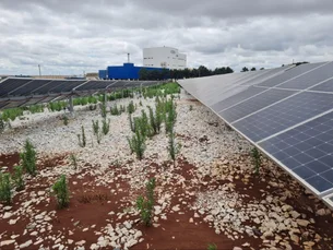 Nova tecnologia ajuda a prevenir apagões e combate gargalo da energia solar