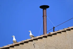 Imagem referente à matéria: Conclave: começa 2º dia da votação para novo papa; veja os horários em que fumaça deve sair