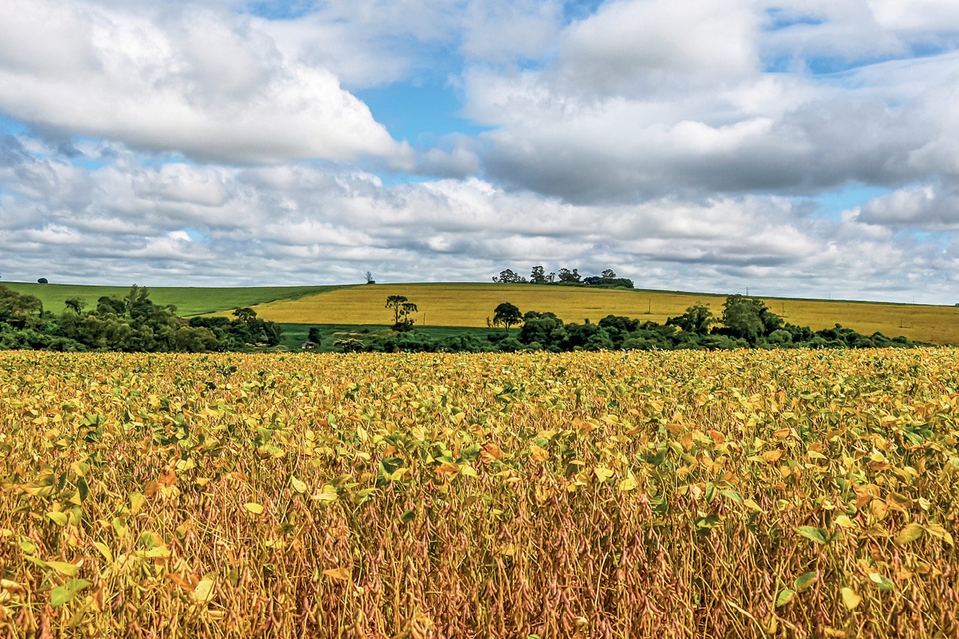 Como uma empresa suíça, uma cooperativa, um banco e 60 prefeituras querem mudar o clima no agro