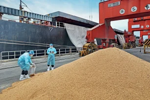 Imagem referente à matéria: Embarques de soja para China devem atingir pico em maio