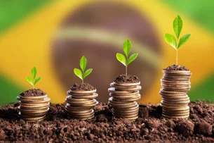 O plano B para financiar as safras no Brasil afora