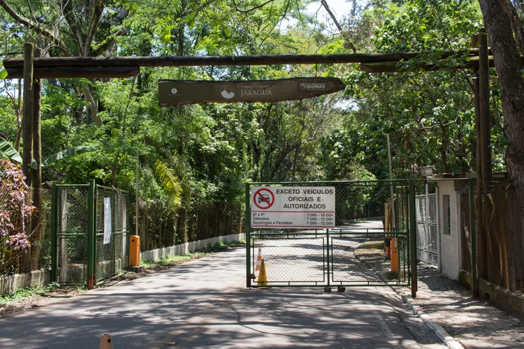 O Parque Estadual do Jaraguá é conhecido como "pulmão verde" da zona norte paulista e passa a contar com a participação ativa da comunidade local nas decisões que afetam as áreas comuns (Getty Images)
