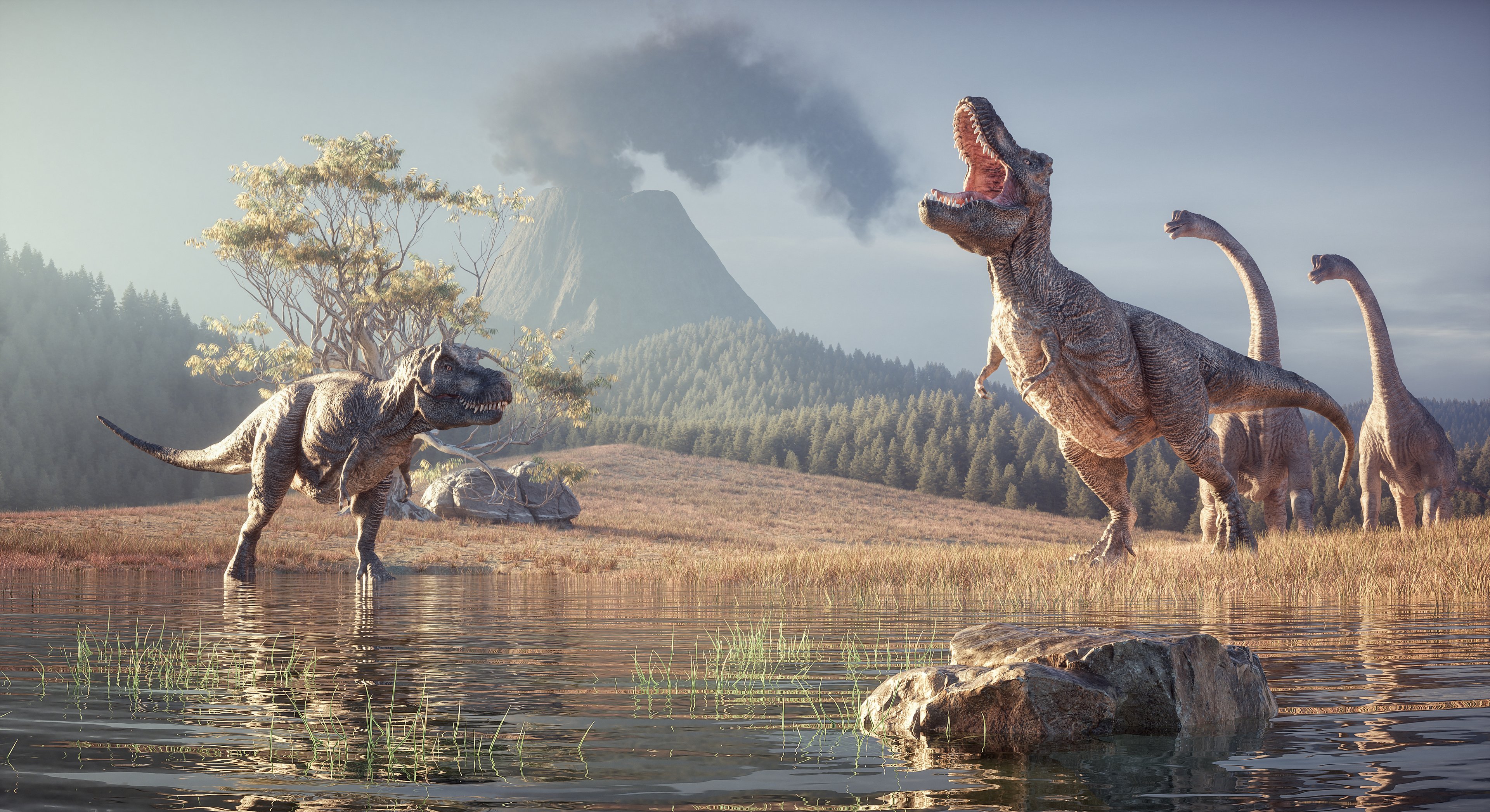 Cientistas descobrem que pássaros 'nidificavam' no Ártico durante a era dos dinossauros