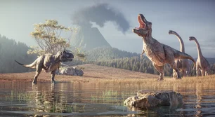 Imagem referente à matéria: Cientistas descobrem que pássaros 'nidificavam' no Ártico durante a era dos dinossauros