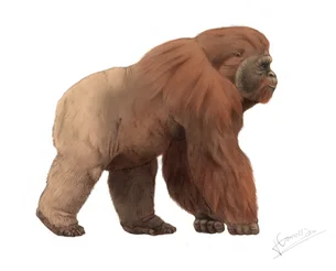 Este macaco gigante dominou a Terra há milhões de anos — mas foi extinto por um motivo inesperado