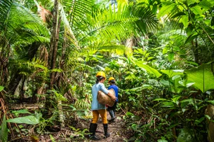 Instituto Clima e Sociedade oferece R$ 10 milhões para pesquisas em economia sustentável na Amazônia
