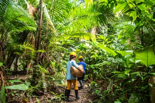 Imagem referente à matéria: Instituto Clima e Sociedade oferece R$ 10 milhões para pesquisas em economia sustentável na Amazônia