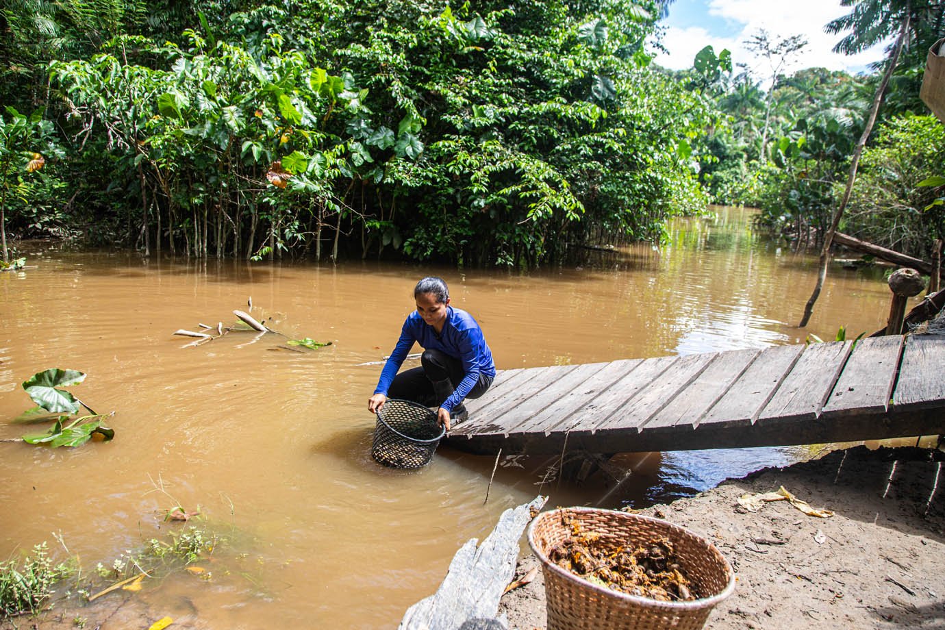 Extrativismo de semente Murumuru no Rio Amazonas no Amapa - Press Trip - Macapa - Natura - WEG

Foto: Leandro Fonseca
23/05/2025