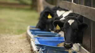 Imagem referente à matéria: Para descarbonizar setor de leite, Danone e BB anunciam crédito de R$ 100 mi aos pequenos produtores