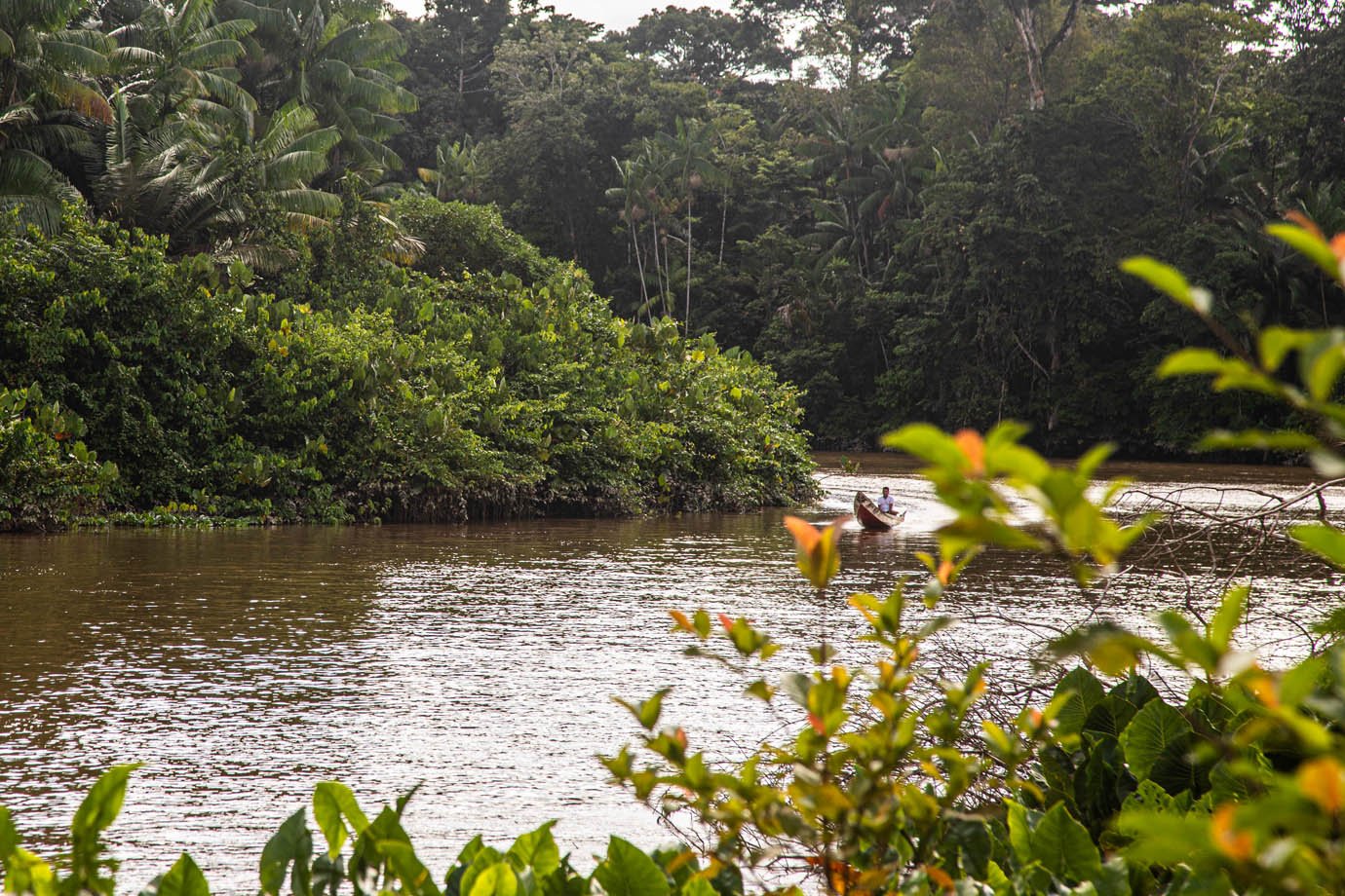 Press Trip - Macapa - Natura - WEG

Foto: Leandro Fonseca
23/05/2025