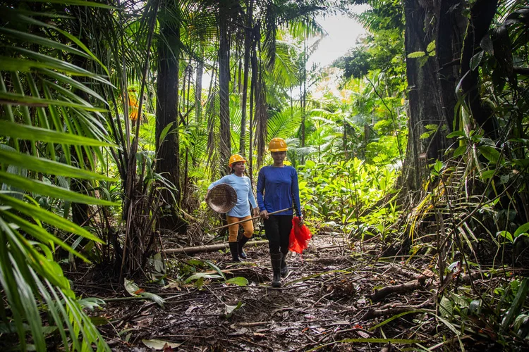 Agricultura e sistemas alimentares movimentam US$ 9,9 bilhões anuais e contam com mais de 1.970 agtechs mapeadas (Leandro Fonseca /Exame)