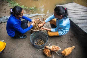 Da floresta às redes: Mercado Livre lança capacitação para impulsionar negócios locais da Amazônia