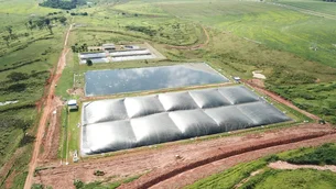 Além do sebo bovino: JBS começa utilizar biogás em fábricas da Friboi para gerar energia elétrica